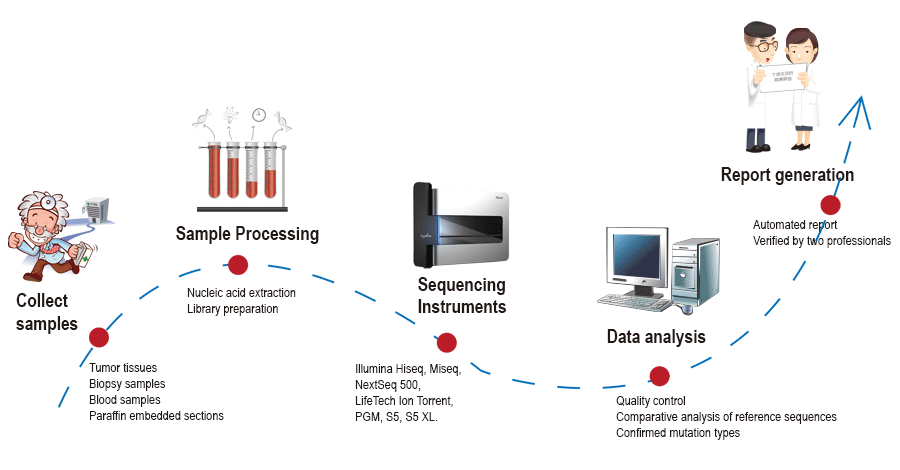 Sample Processing Procedure